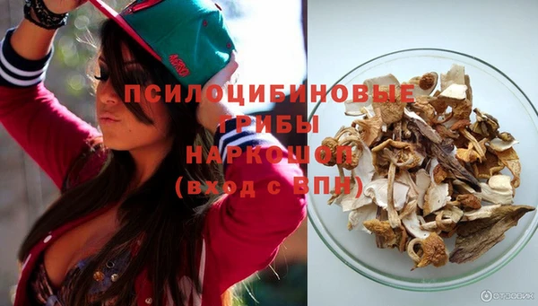 амф Вяземский