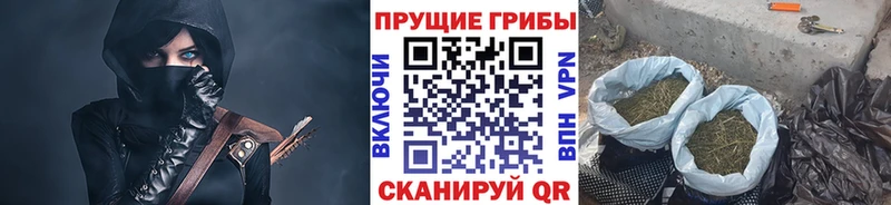 Псилоцибиновые грибы прущие грибы  Купить где  Бронницы 